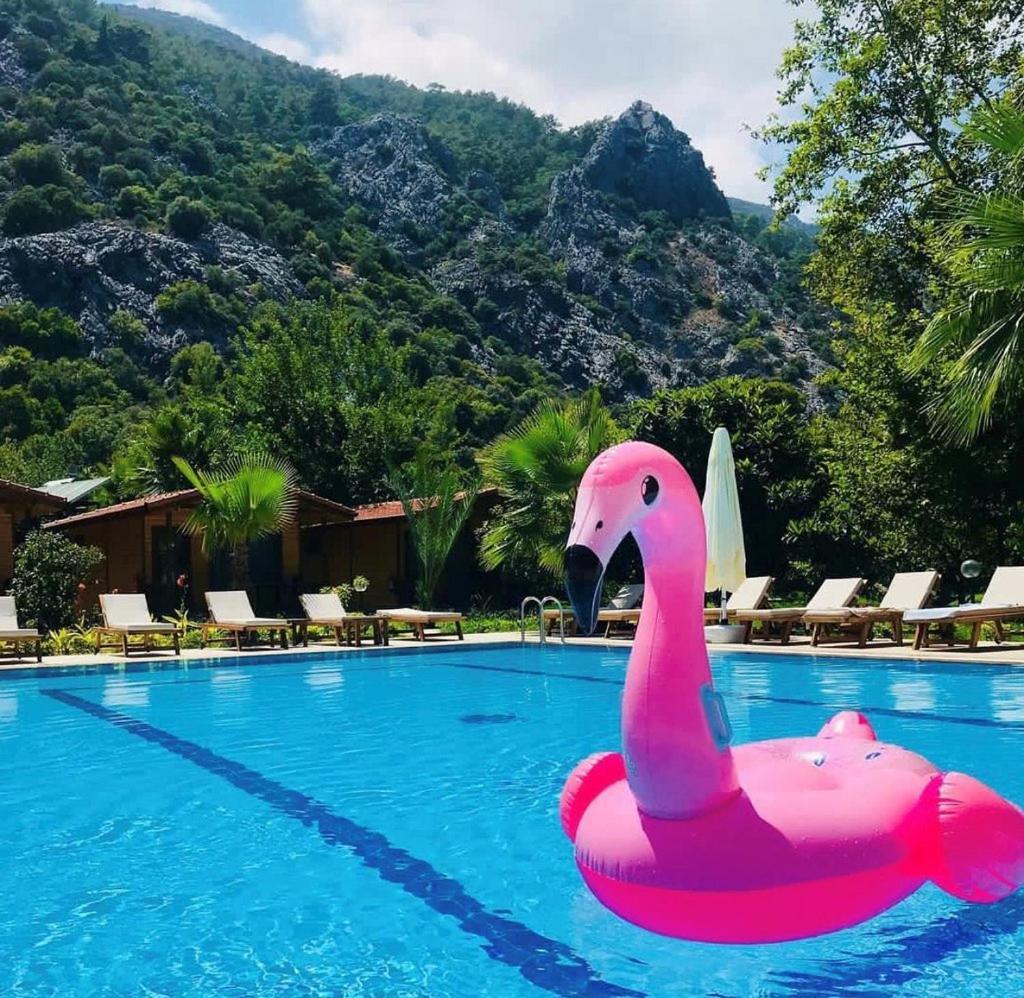 Dolunay Apart Hotel Cirali Exterior photo